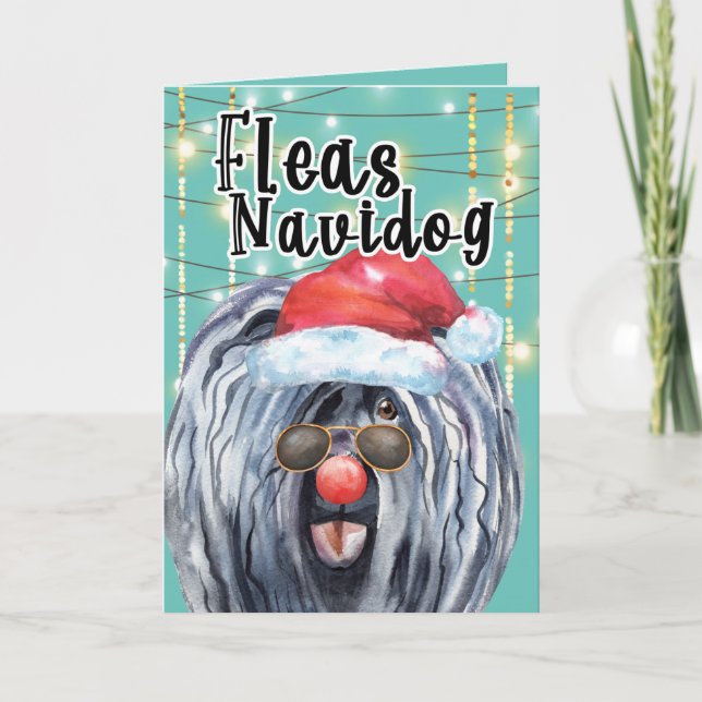 Funny Puli Weihnachtshund in Lichtern Flöhe Karte (Vorderseite)