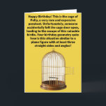 Funny Pun Polly Gone Happy Birthday Karte<br><div class="desc">Hast du je mit dir im Geometry-Unterricht mehr Aufmerksamkeit geschenkt? Man weiß nie,  wann man einem zufälligen Polygonquiz unterzogen wird. In Zeiten wie diesen könnte man einen Weitwinkel für den Wächter benutzen! Genießen Sie diese lustige Wortspielkarte!</div>