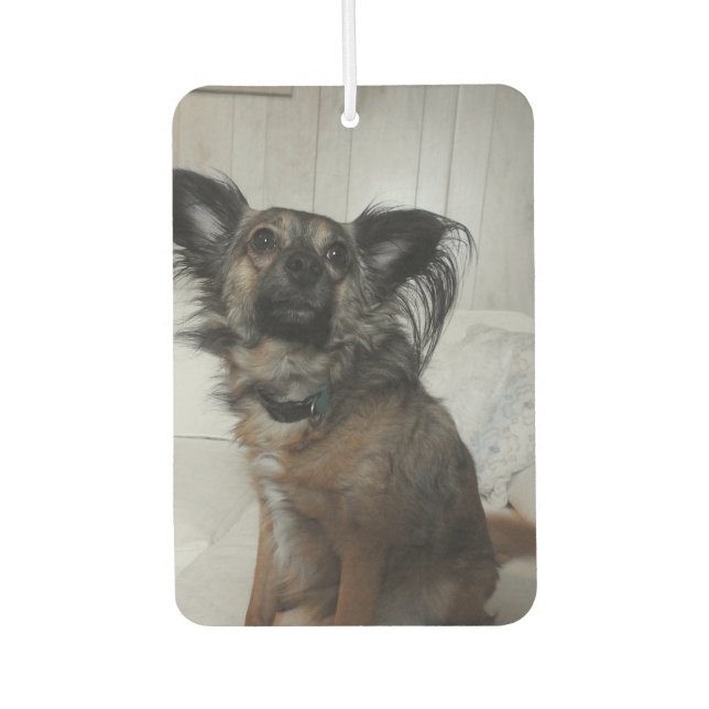 Funny Puppy Doet Foto Personalisiert Autolufterfrischer (Vorderseite)