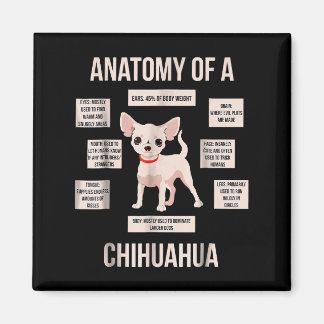 Funny Puppy Geschenkanatomie einer Chihuahua Magnet