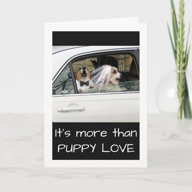 Funny Puppy Liebe für Ehefrau mit Corgi Couple Karte (Vorderseite)