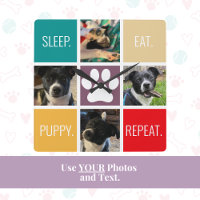Funny Puppy Sleep essen Wiederholung Hund Lover fa