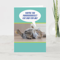 Funny Purfect Cat Vater von einer Katze am Vaterta