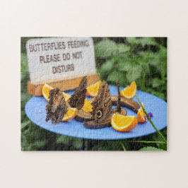 Funny! Puzzle - Fütternd Schmetterlinge stören nic