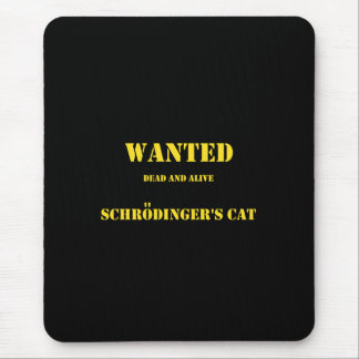 Funny Quantum Joke: Schrödinger’s Cat on the Loose Mousepad