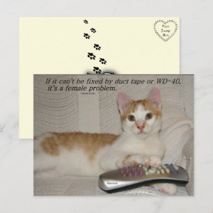 Funny Quote Cat Postcard Postkarte
