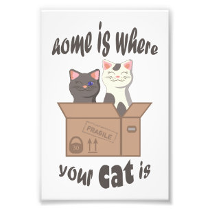 Funny quote Zuhause ist, wo Ihre Katze ist Fotodruck
