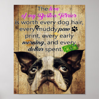 Funny Quotes über Boston Terrier Gegenwart Poster