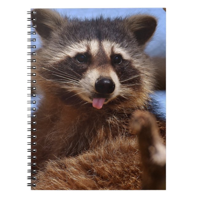 Funny Raccoon Sticken Es ist Zunge-Out Notizblock (Vorderseite)