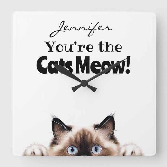 Funny Ragdoll Cam Wall Clock Quadratische Wanduhr (Vorderseite)