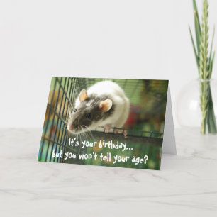 Funny rat Foto Geburtkarte Karte