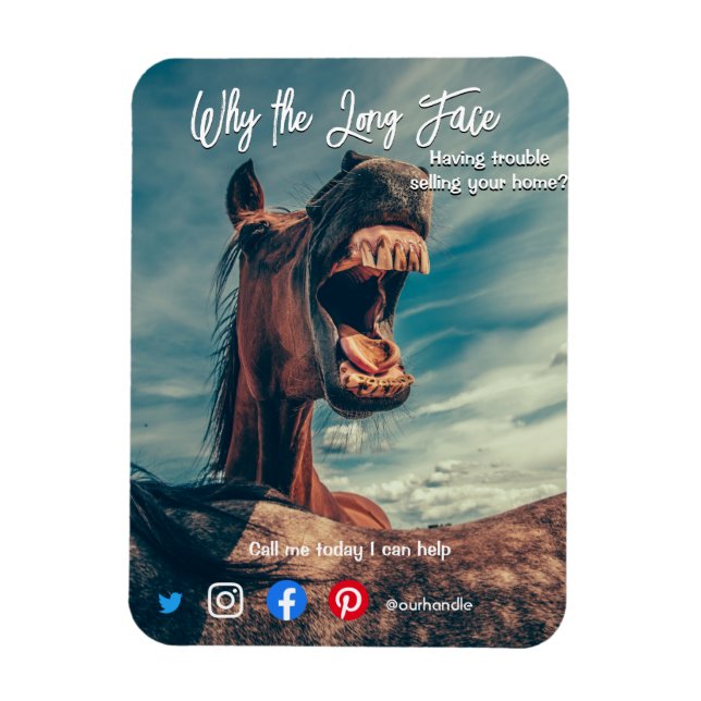 funny real estate postcard long face horse magnet (Vertikal)