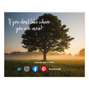 funny real estate postcard you're not a tree flyer