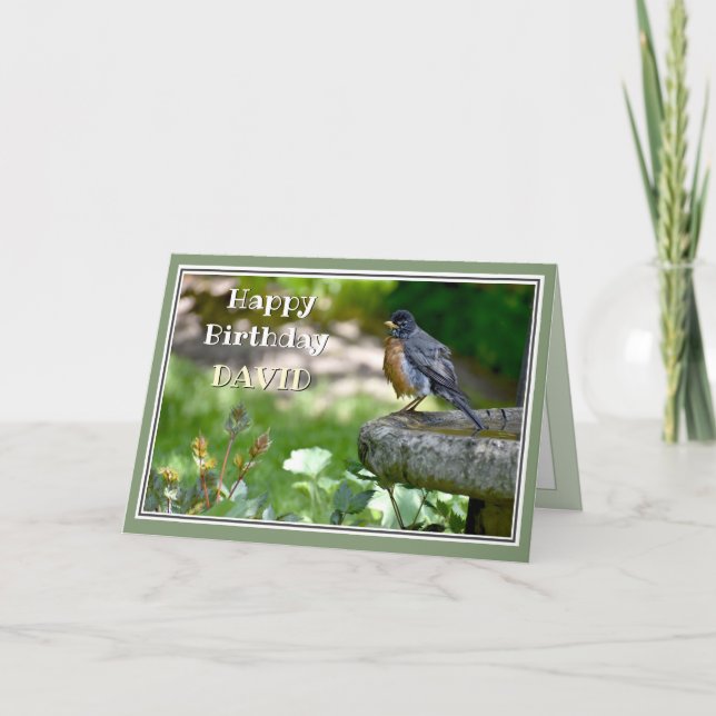 Funny Robin Geburtstagskarte Feiertagskarte (Vorderseite)
