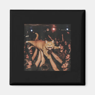 Funny Rock Show Cat Meme Niedlich Tabby Kitten Cro Magnet