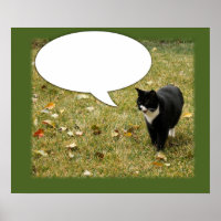 Funny sagt etwas Kitty Speech Bubble