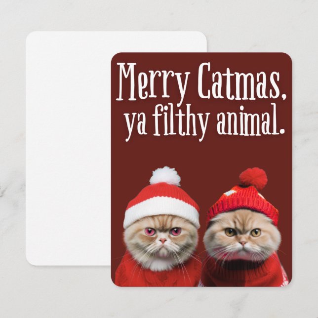 Funny Santa Cats Holiday Greeting Feiertagskarte (Vorne/Hinten)