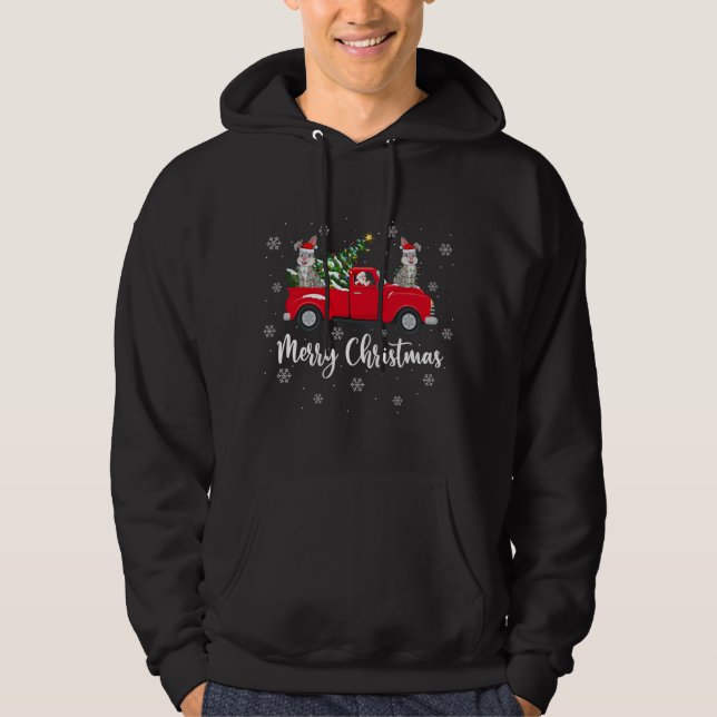 Funny Santa Riding Weihnachtsbaum Truck Bunny Chri Hoodie (Vorderseite)