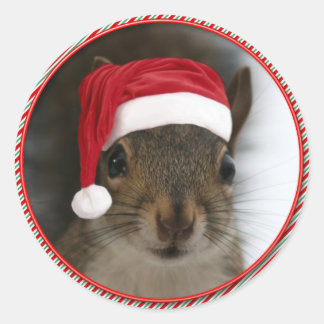 Funny Santa Squirrel Tragend Weihnachtsmannmütze Runder Aufkleber