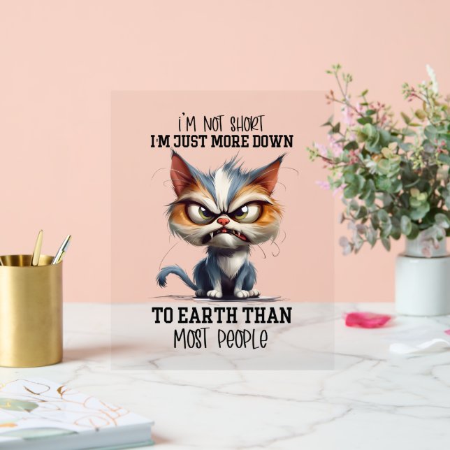 Funny sarcasme court mot de chat (Mariage)