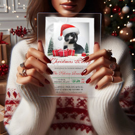 Funny Sarcastic Cat Santas Hat Weihnachts-Party Acryleinladungen