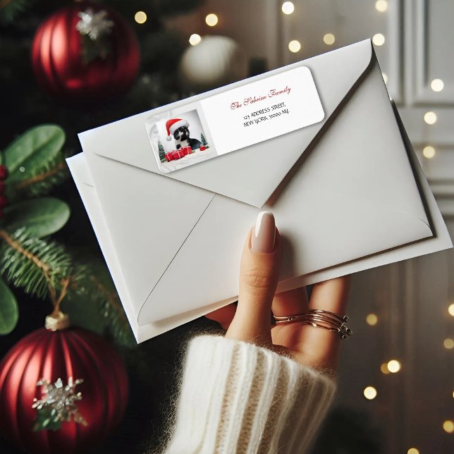 Funny Sarcastic Cat Santas Hat Weihnachtsadresse (Von Creator hochgeladen)