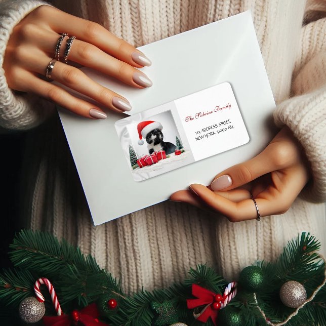 Funny Sarcastic Cat Santas Hat Weihnachtsadresse Adressaufkleber (Von Creator hochgeladen)