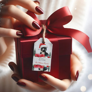 Funny Sarcastic Cat Santas Hat Weihnachtsgeschenk  Geschenkanhänger