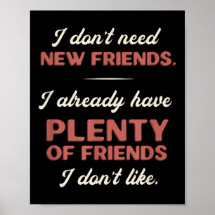 Funny Sarcastic Geschenk ich brauche keine neuen F Poster