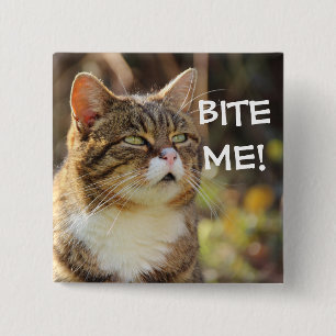 Funny Sassy Cat mit Attitude Bite Me Button