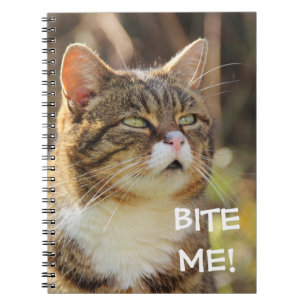 Funny Sassy Cat mit Attitude Bite Me Notizblock