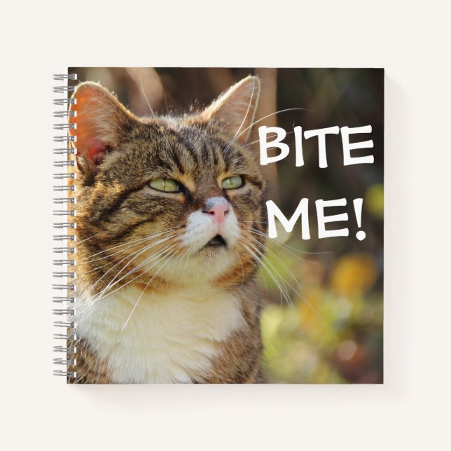 Funny Sassy Cat with Attitude Bite Me Notizbuch (Vorderseite)