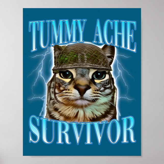 Funny Saying Cats Tummy Ache Survivor Cat Meme Hum Poster (Vorne)