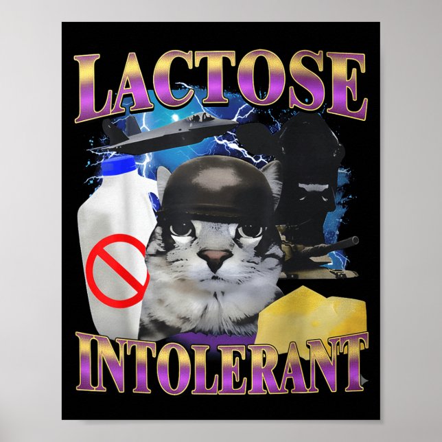Funny Saying Lactose Intolerant Silly Cat Meme Cat Poster (Vorne)