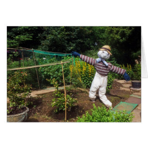 Funny scarecrov