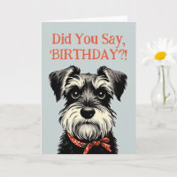Funny Schnauzer Geburtstagsgrußkarte