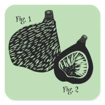 Funny Scientific Fig Illustration