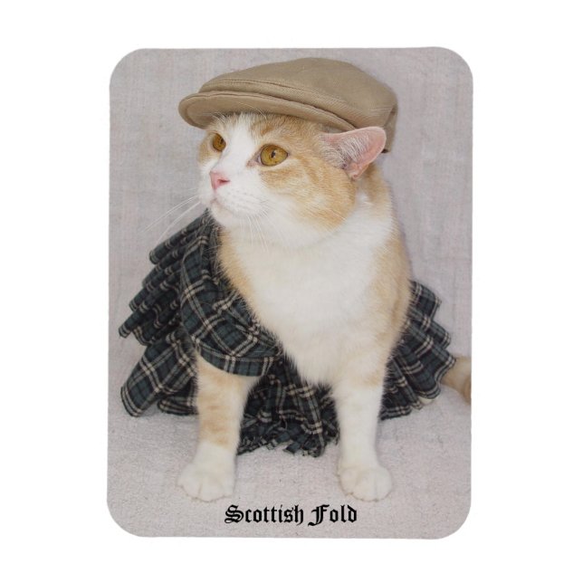Funny Scottish Fold Cat/Kitty in einem Kilt Magnet (Vertikal)