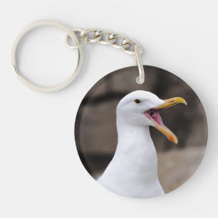 FUNNY Seagull