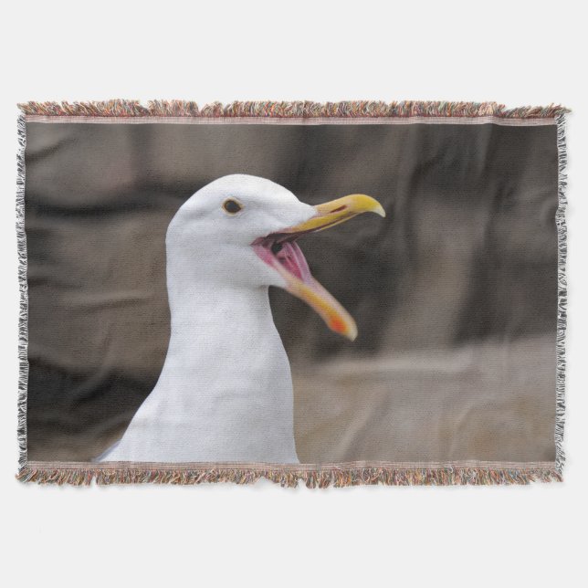 FUNNY Seagull Decke (Vorderseite)