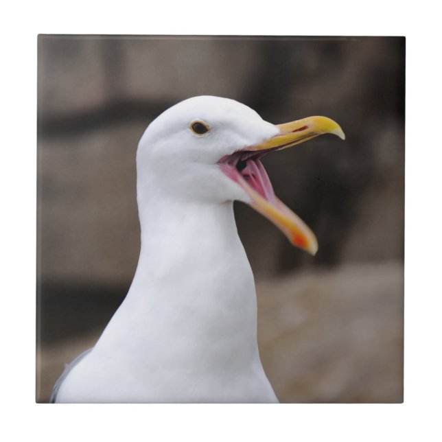 FUNNY Seagull Fliese (Vorderseite)