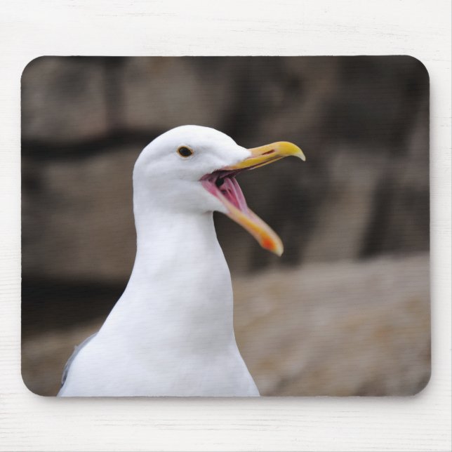 FUNNY Seagull Mousepad (Vorne)