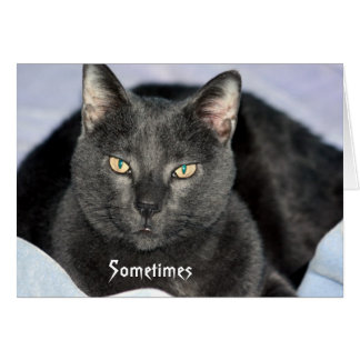 Funny Shake Ma carte de la tête