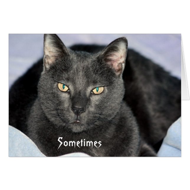 Funny Shake Ma carte de la tête (Devant horizontal)