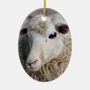 Funny Sheep Keramikornament