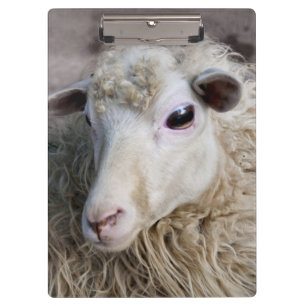 Funny Sheep Klemmbrett