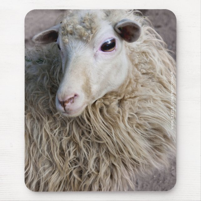 Funny Sheep Mousepad (Vorne)