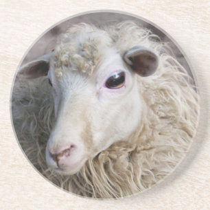 Funny Sheep Sandstein Untersetzer