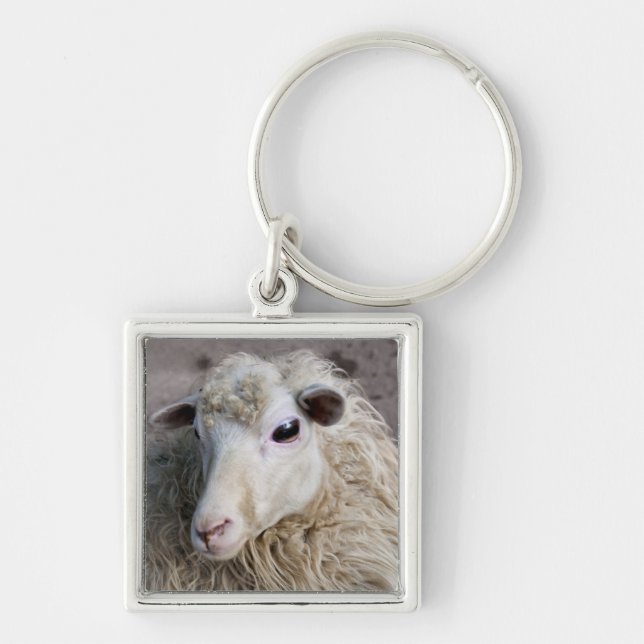 Funny Sheep Schlüsselanhänger (Vorne)