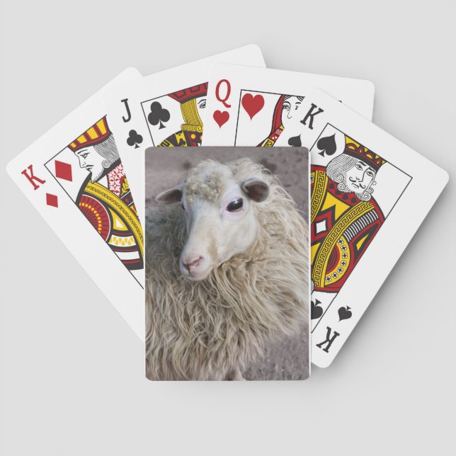 Funny Sheep Spielkarten (Rückseite)